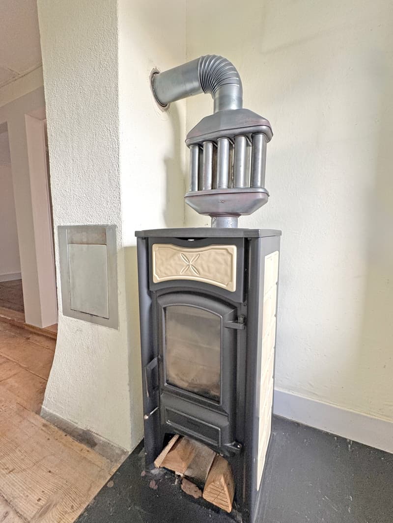 Charming lover's object, with 6½ rooms, a lot of wood and warmth, with an agricultural parcel on the Thur (15)