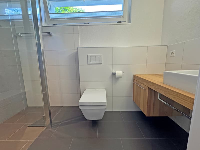 modernes Klima-Holzhaus 6½-Zimmer, mit PV-Anlage, Doppelgarage und sonnigem Garten (7)
