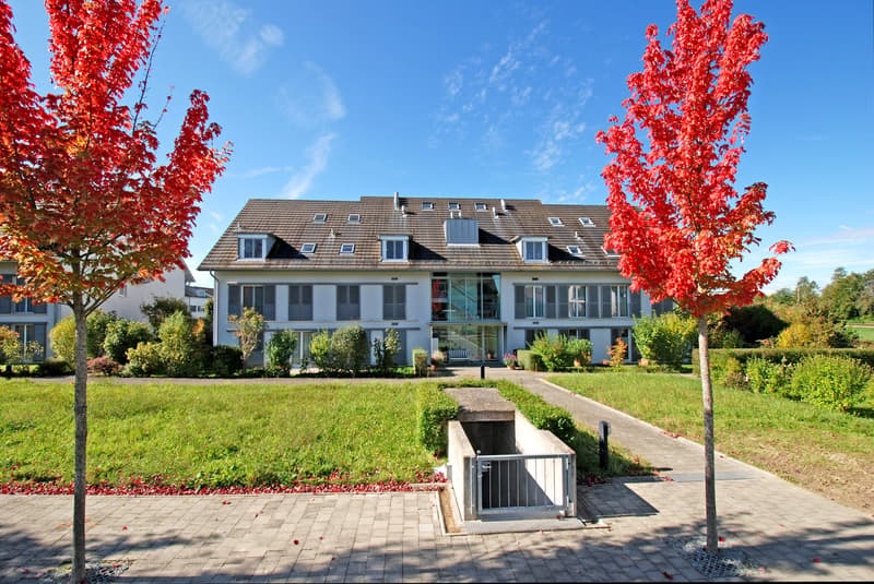 Appartement en propriété attrayant, 4½ pièces au rez-de-chaussée, avec espace vert privé et place de parking en sous-sol (19)