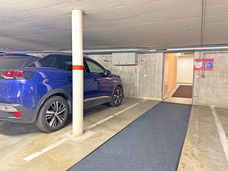 Appartement en propriété attrayant, 4½ pièces au rez-de-chaussée, avec espace vert privé et place de parking en sous-sol (18)