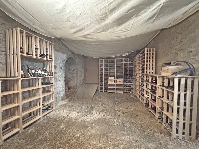 Habitation individuelle avec espace de conception (23)