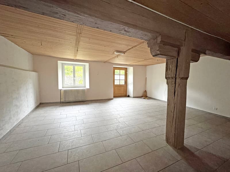 Historisches Einfamilienhaus mit 10.5 Zimmern in idyllischer Lage (20)
