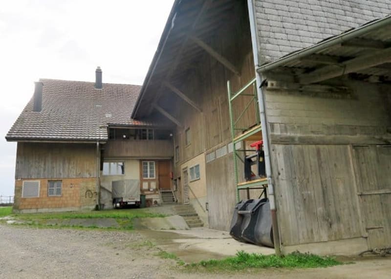 Landwirtschaftliches Anwesen mit Bauernhaus, div. Ökonomiegebäude und Wiesland , mit viel Potential (11)