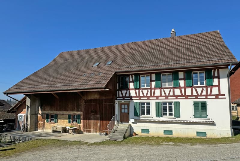 Landwirtschaftliches Anwesen mit Bauernhaus, div. Ökonomiegebäude und Wiesland , mit viel Potential (17)