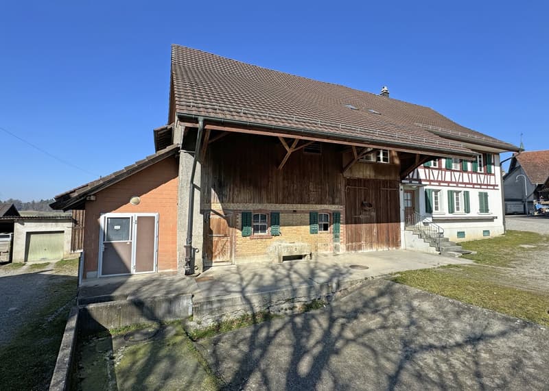 Landwirtschaftliches Anwesen mit Bauernhaus, div. Ökonomiegebäude und Wiesland , mit viel Potential (16)