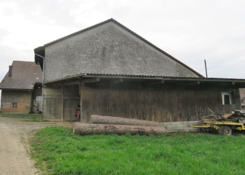 Landwirtschaftliches Anwesen mit Bauernhaus, div. Ökonomiegebäude und Wiesland , mit viel Potential (14)