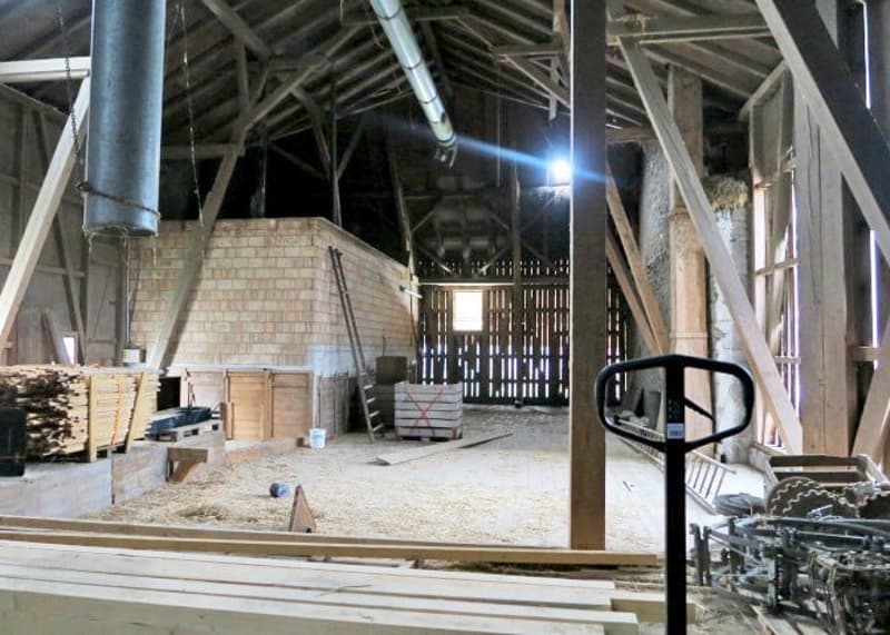 Landwirtschaftliches Anwesen mit Bauernhaus, div. Ökonomiegebäude und Wiesland , mit viel Potential (12)