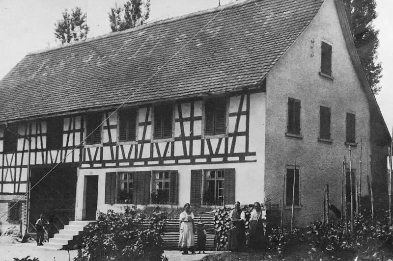 Landwirtschaftliches Anwesen mit Bauernhaus, div. Ökonomiegebäude und Wiesland , mit viel Potential (2)