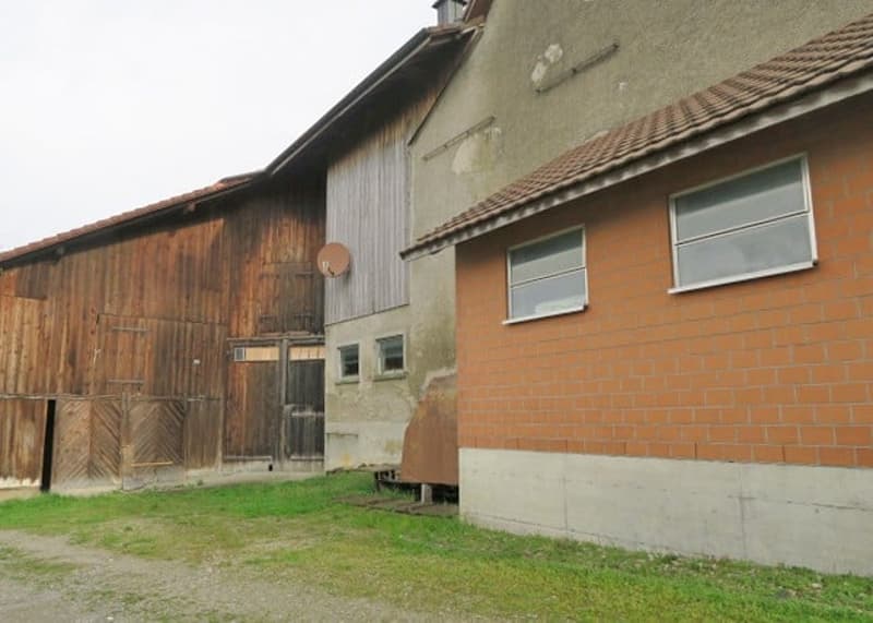 Landwirtschaftliches Anwesen mit Bauernhaus, div. Ökonomiegebäude und Wiesland , mit viel Potential (15)