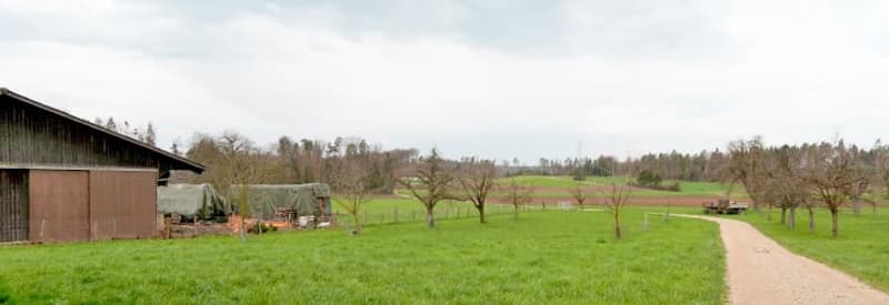 Landwirtschaftliches Anwesen mit Bauernhaus, div. Ökonomiegebäude und Wiesland , mit viel Potential (18)