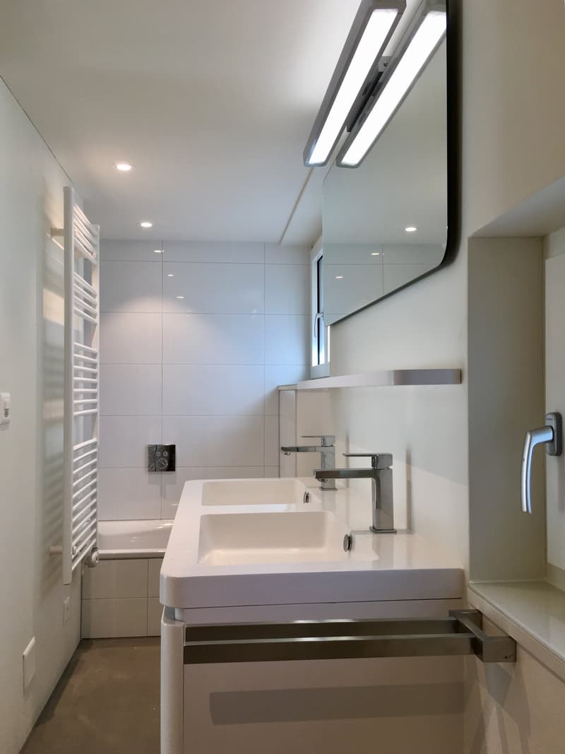 Wohnen am Bach , loftartiger Neubau im Altbau; Wohnen auf zwei Etagen (14)