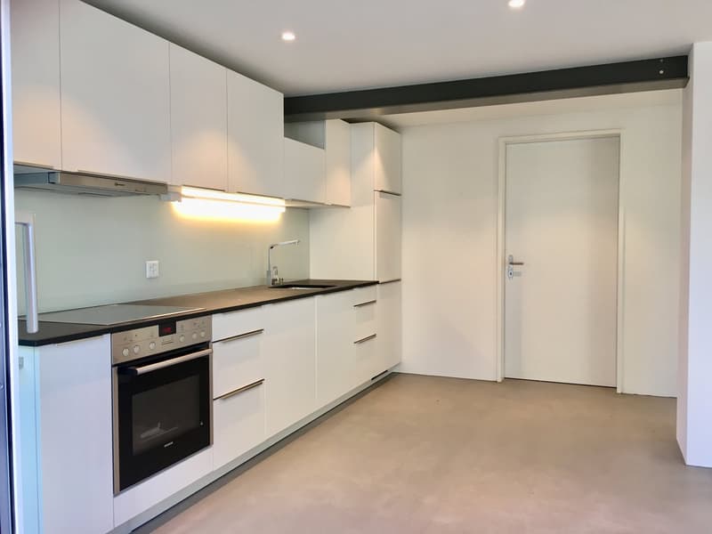 Wohnen am Bach , loftartiger Neubau im Altbau; Wohnen auf zwei Etagen (6)