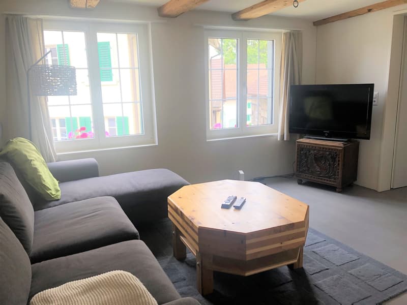 Wohnen am Bach , loftartiger Neubau im Altbau; Wohnen auf zwei Etagen (17)