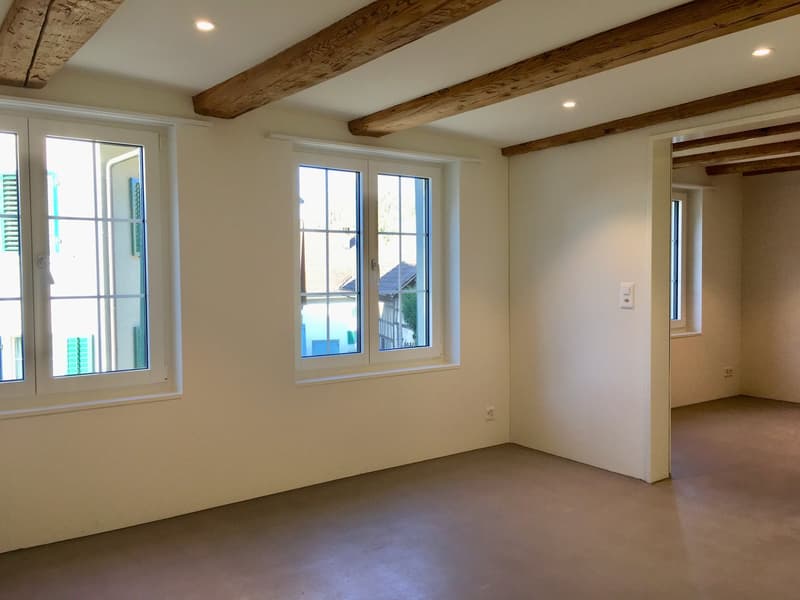 Wohnen am Bach , loftartiger Neubau im Altbau; Wohnen auf zwei Etagen (16)