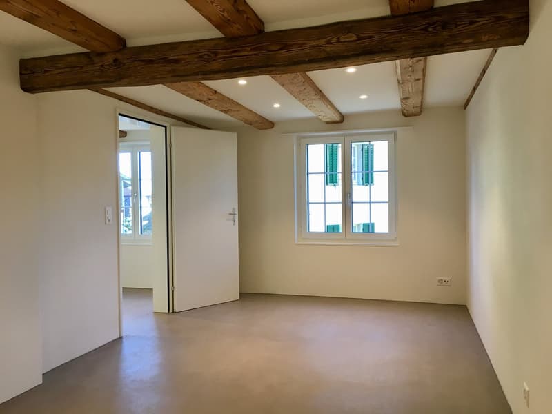 Wohnen am Bach , loftartiger Neubau im Altbau; Wohnen auf zwei Etagen (18)