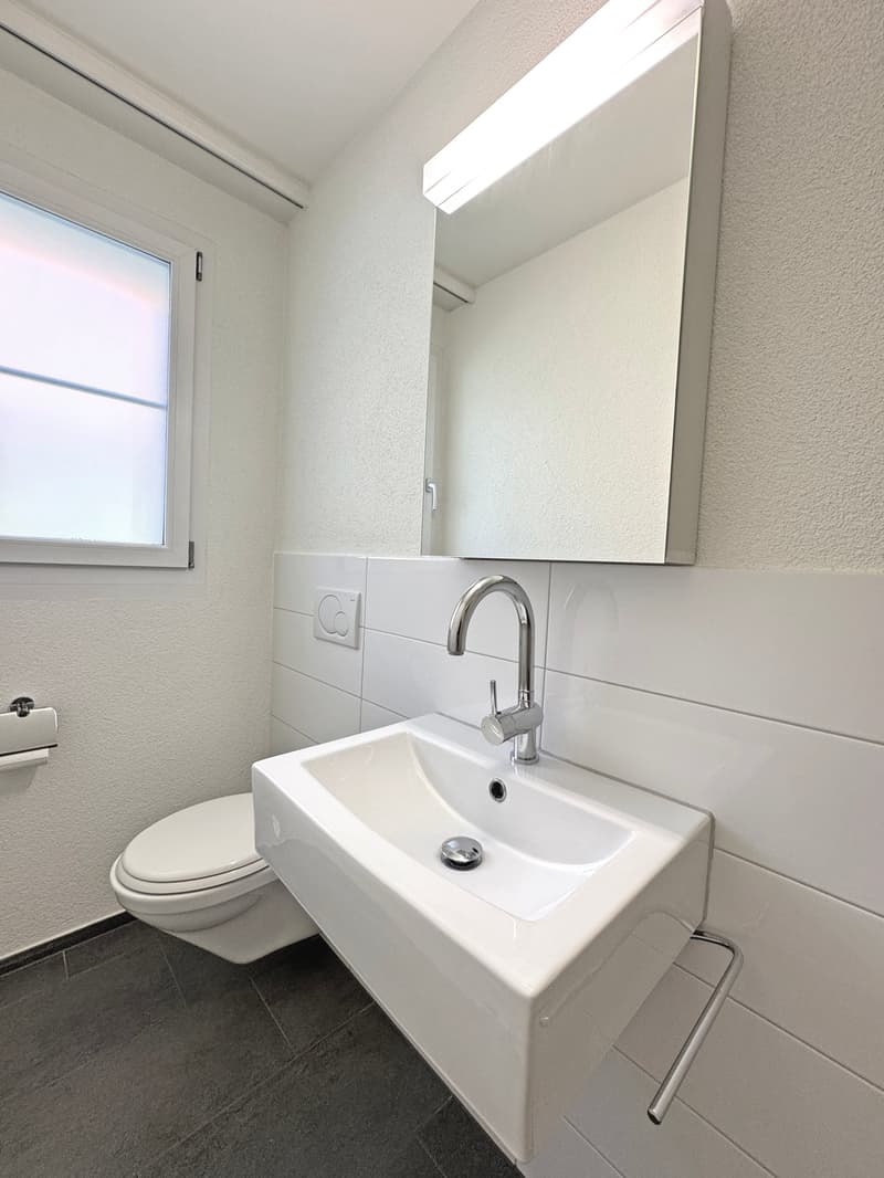 Grosszügige, durchdachte 4 ½-Zimmer- Wohnung, ruhiges Wohnquartier, inkl. 2 Tiefgaragenplätze (12)