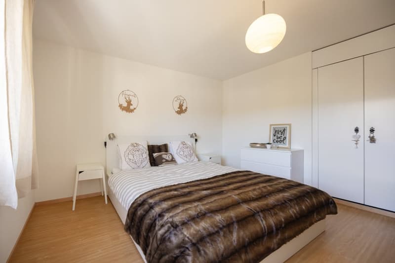 Aimez-vous St. Moritz-Bad et cherchez-vous un appartement secondaire spacieux de 2,5 pièces? (11)