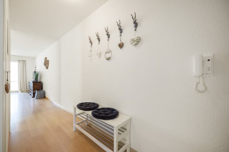 Aimez-vous St. Moritz-Bad et cherchez-vous un appartement secondaire spacieux de 2,5 pièces? (16)