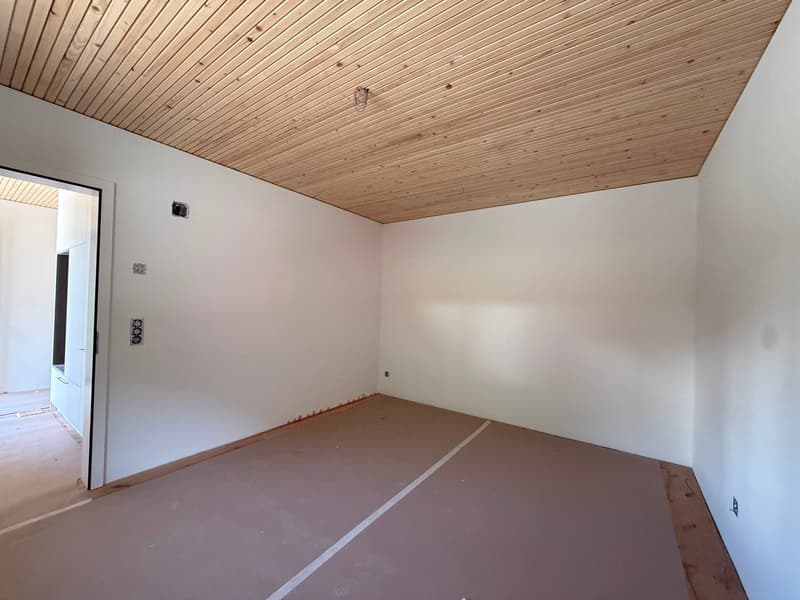 Appartamento in mansarda nuovo con una vista meravigliosa (8)