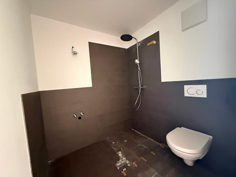 Appartamento in mansarda nuovo con una vista meravigliosa (10)