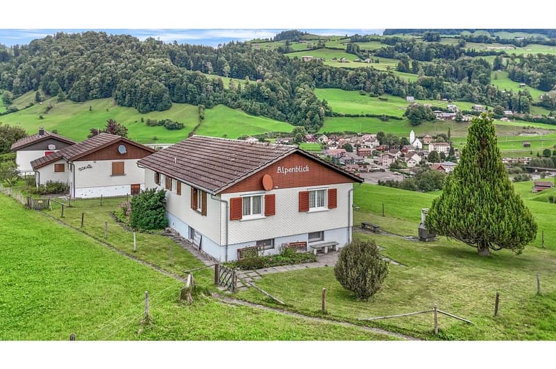 Detached family home: oasis in Krummenau, St. Gallen (1)