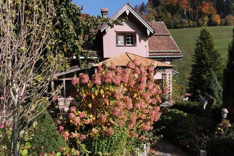Casa colonica di Toggenburg in una posizione unica e solitaria con pace, vista e storia (6)