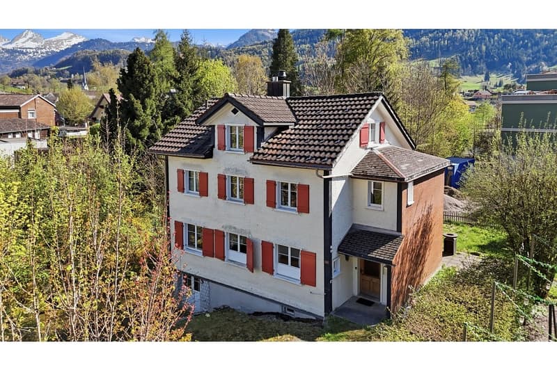 Large single-family house in Neu St. Johann (1)