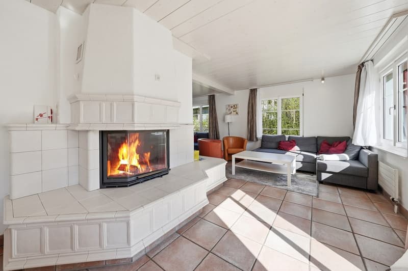 Large single-family house in Neu St. Johann (4)