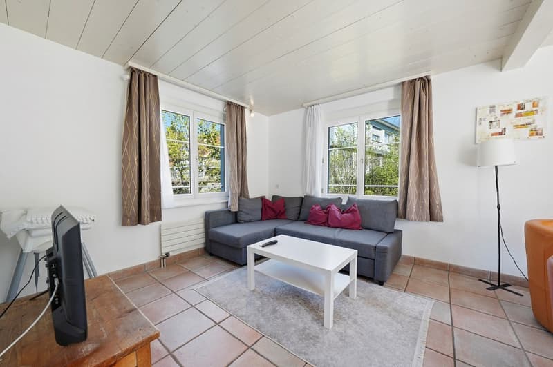 Large single-family house in Neu St. Johann (6)