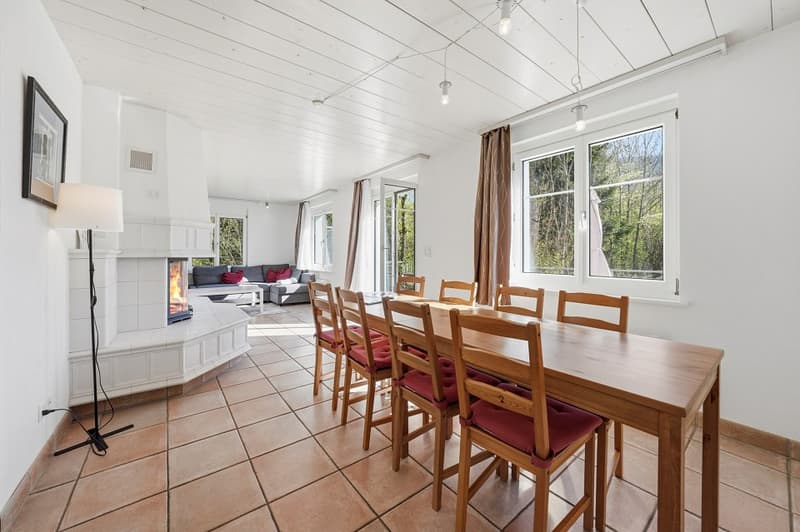 Large single-family house in Neu St. Johann (8)
