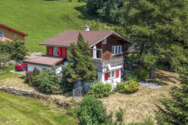 Ein Logenplatz über Wildhaus (1)