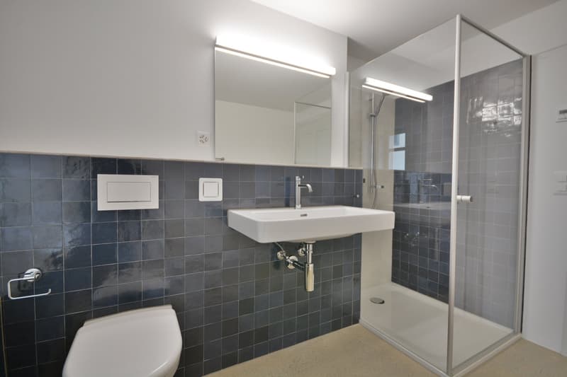 I n 8595 A l t n a u - Charmanter Altbau mit viel Liebe renoviert mit unverbaubarer Aussicht (18)