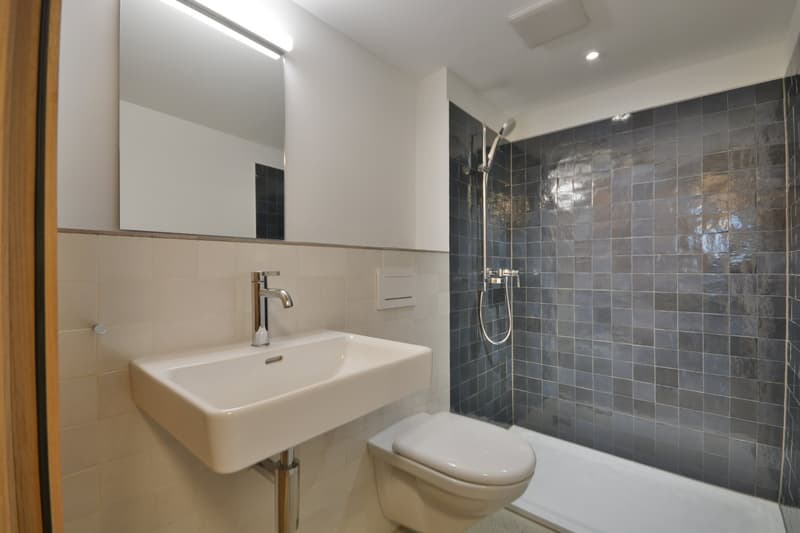 Moderne Nasszelle mit Dusche, WC
