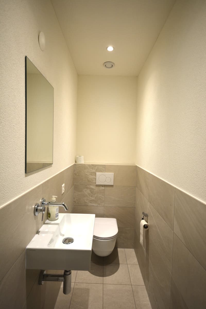 DOLCE VITA & LAGO in Brissago: Besondere 2-Zimmer-Wohnung mit atemberaubendem Seeblick (13)