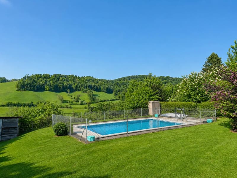 Swimmingpool (5 x 10 Meter)