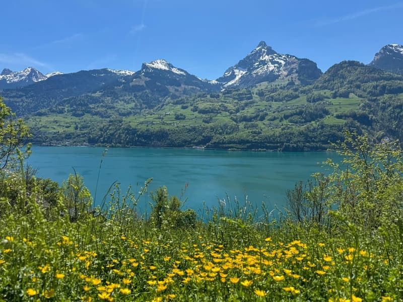 Unverbaubare Aussicht auf den See