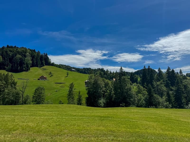 Aussicht