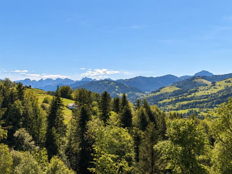 Aussicht