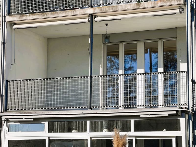 Charmant appartement 4.5 pièces à Seuzach – disponible immédiatement ! (4)