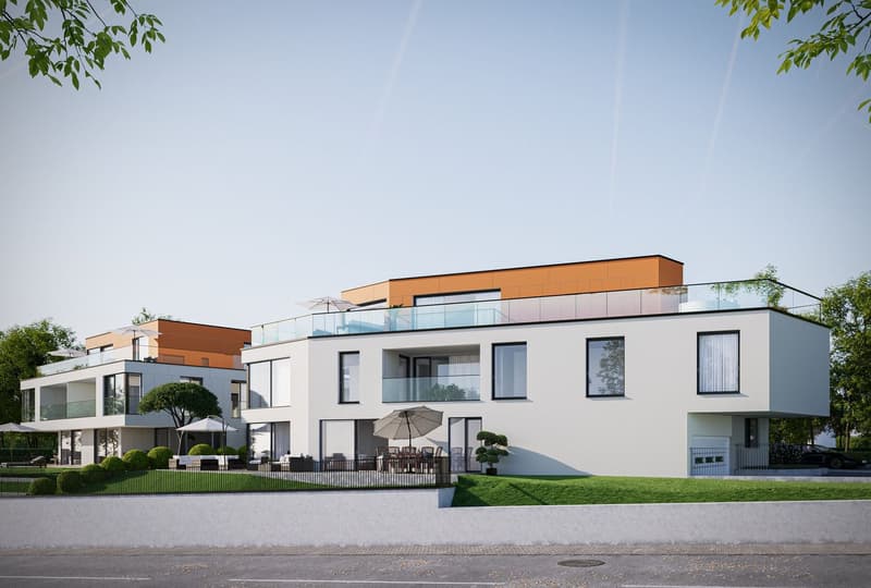 New Building Project (1)