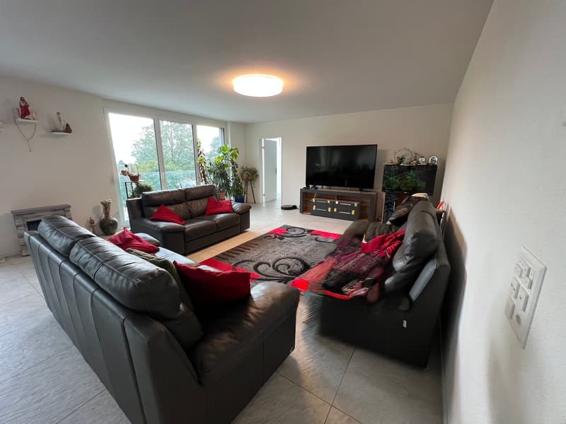 Grosszügige 5.5-Zimmer-Wohnung im Erdgeschoss in Gebertingen (14)