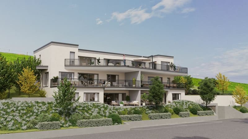Moderne Skulptur mit Weitsicht: Neubauwohnungen am Galtberg (1)