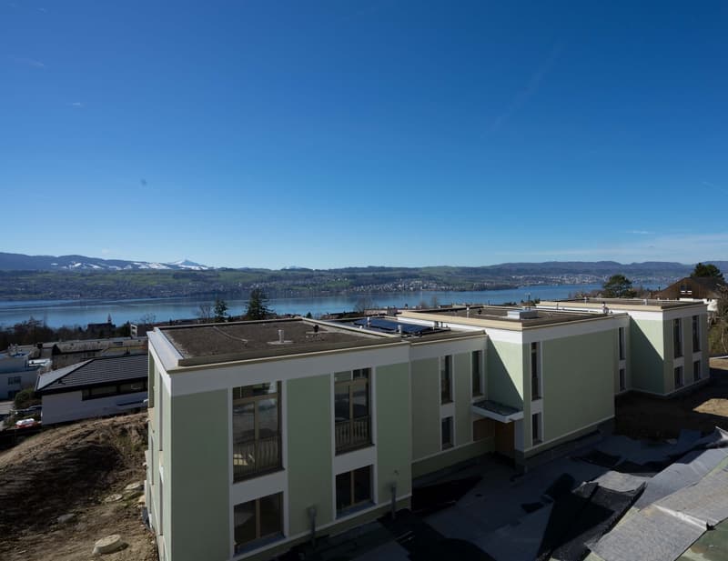 Modern apartment building, green exterior, solar panels on the roof, large windows, lake view