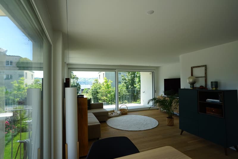 Neubauwohnung mit Gartensitzplatz, zwei Balkonen und traumhafter Seesicht (8)