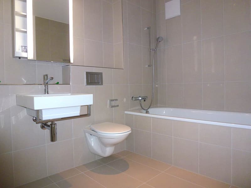 schöne Wohnung in Höngg (5)