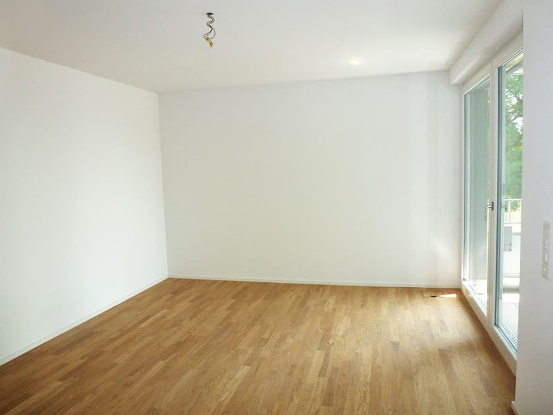 schöne Wohnung in Höngg (2)