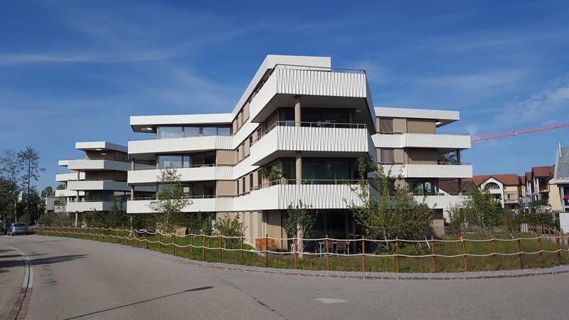 Ihr neues Zuhause im Zentrum von Wetzikon (2)