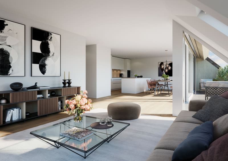 Grosse neue 5½-Zi.Dachmaisonettewohnung zu verkaufen an schöner Aussichtslage (6)