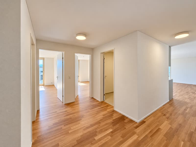 Letzte Wohnungen in der Überbauung Tilia Boldern, Männedorf (6)