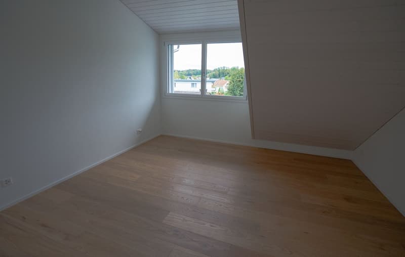 Grosse neue Dachwohnung an zentraler Lage mit Bergsicht, Garage inbegriffen (10)